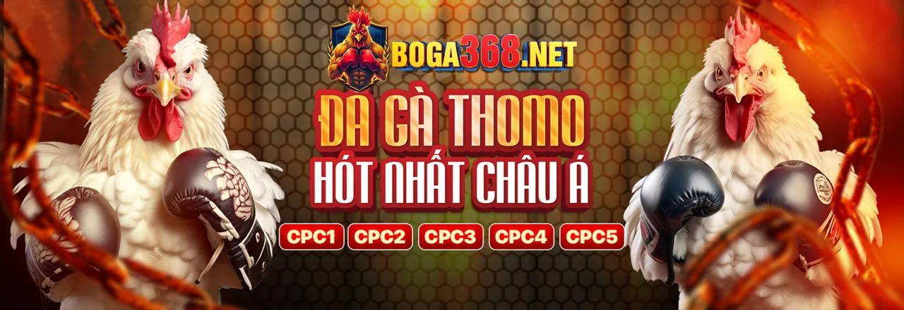 Sân vận động bóng đá với ánh đèn rực rỡ, tượng trưng cho sự phấn khích của cá cược thể thao trực tuyến qua sportsbet link vào